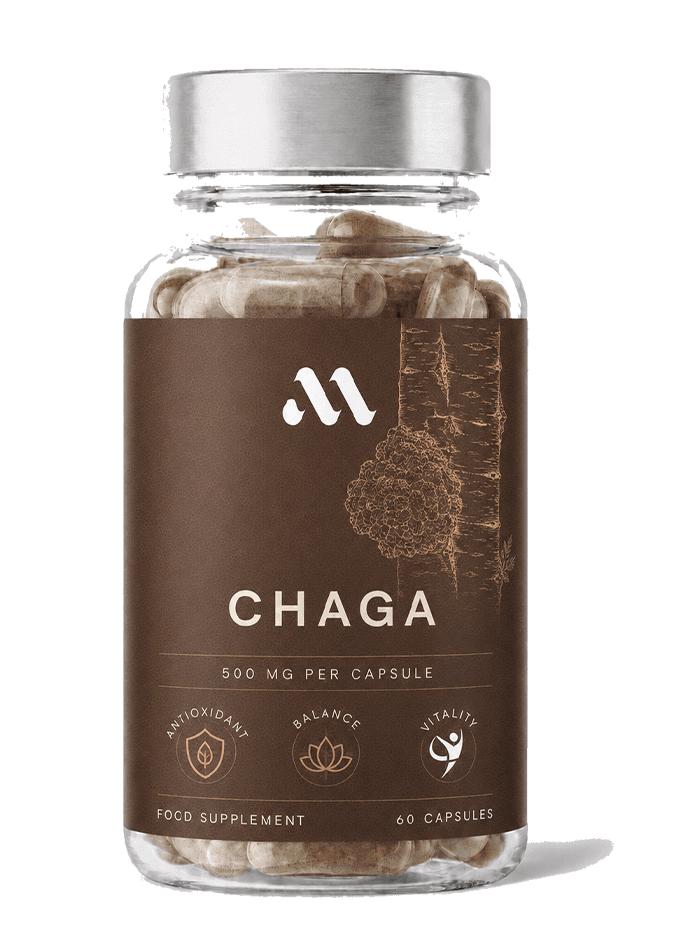 Chaga | 60 kapslar