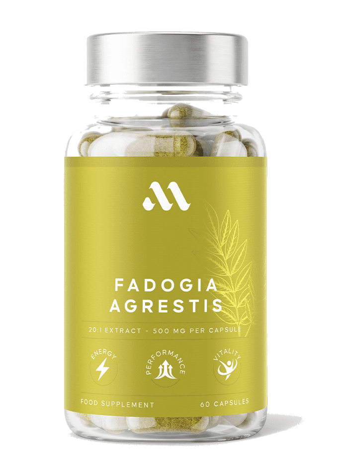 Fadogia Agrestis | 60 kapslar