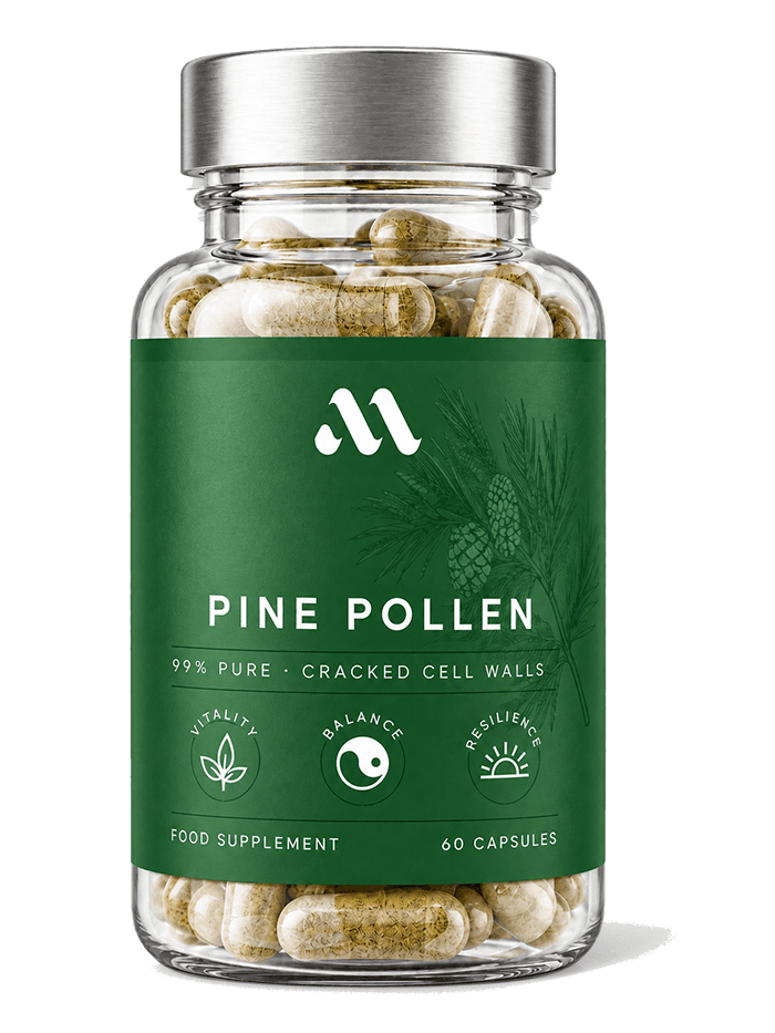 Pine Pollen | 60 kapslar – bild 1