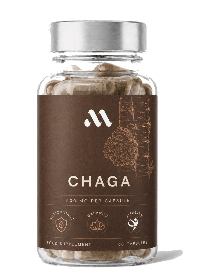 Chaga | 60 kapslar