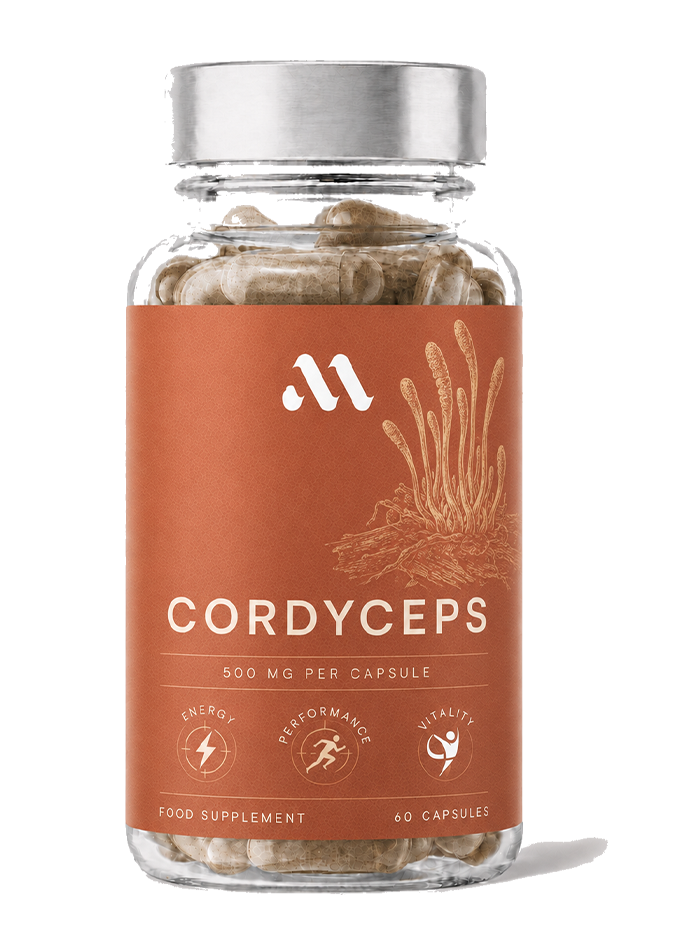 Cordyceps | 60 kapslar