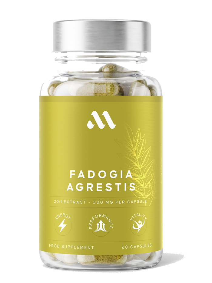Fadogia Agrestis | 60 capsule
