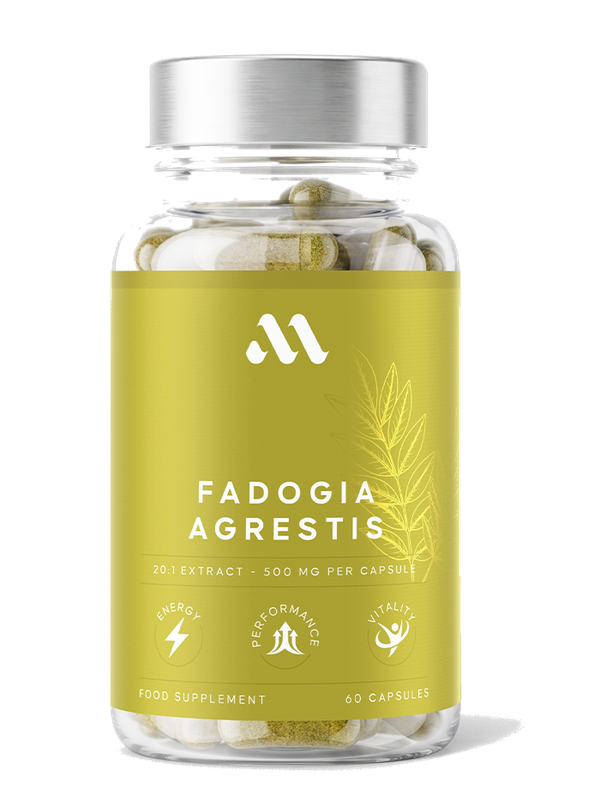 Fadogia Agrestis | 60 cápsulas